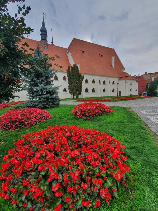 Via Transilvanica Sighisoara Hotel Ngoại thất bức ảnh